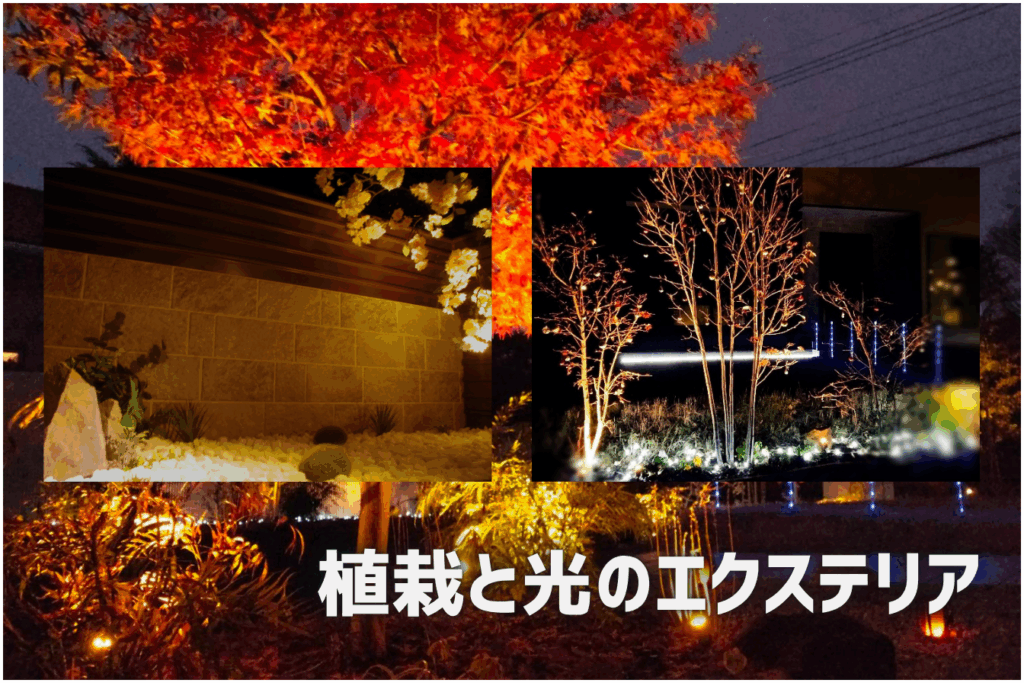 植栽と光のエクステリア