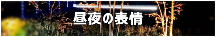 昼夜の表情